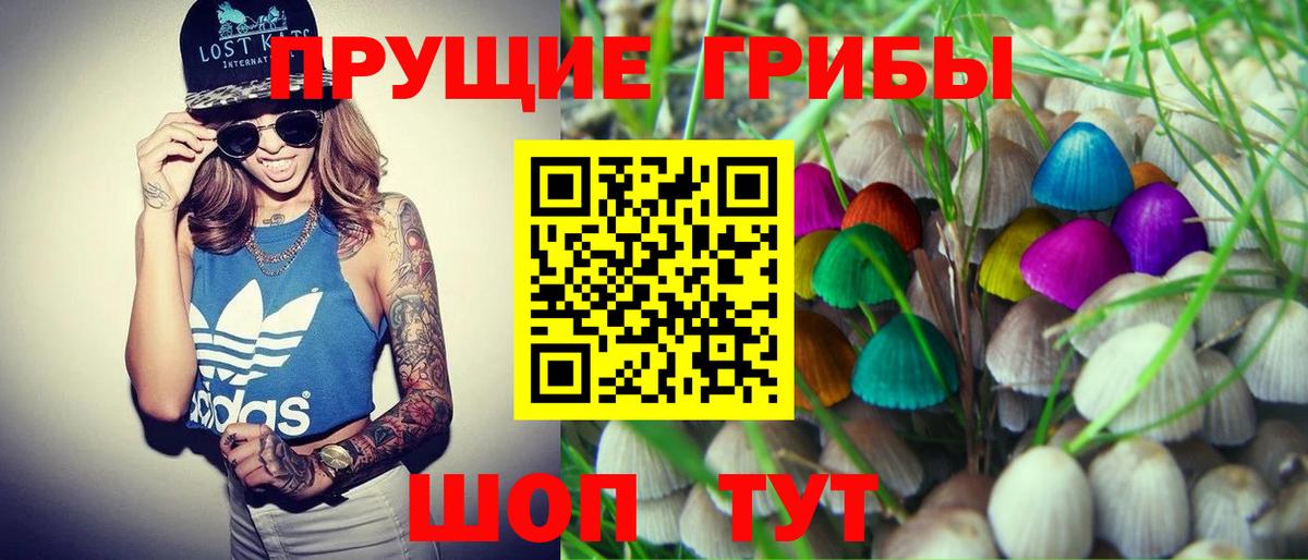 Псилоцибиновые грибы прущие грибы Топки