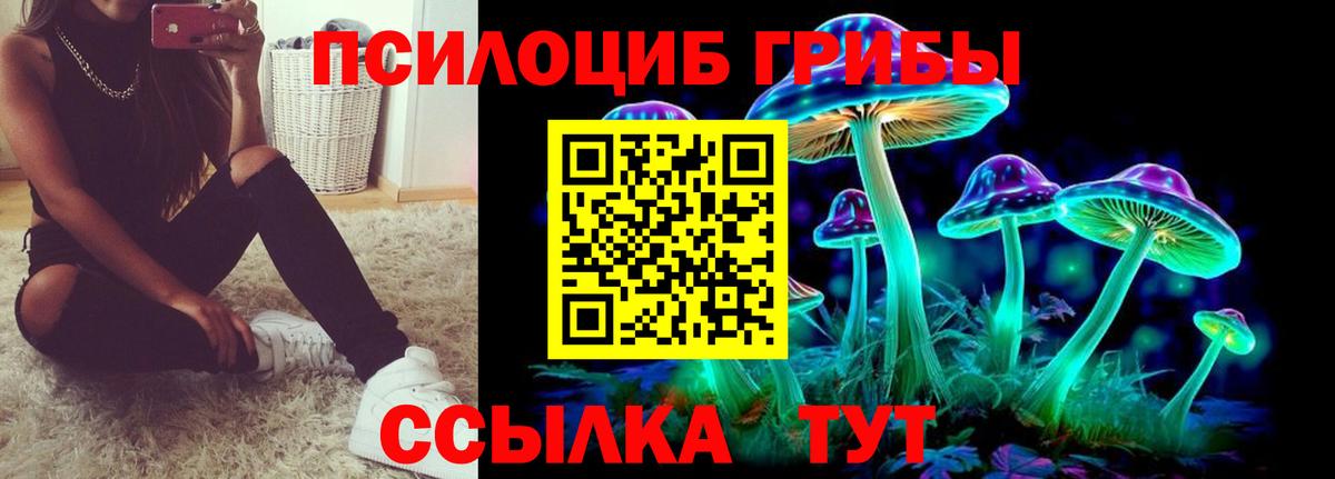 Топки  Псилоцибиновые грибы мухоморы  Вход с VPN 